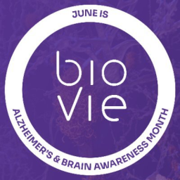 BIVI.US Logo