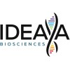 IDYA.US Logo