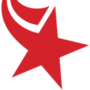 NGS.US Logo