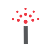 PI.US Logo