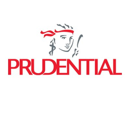 PUK.US Logo